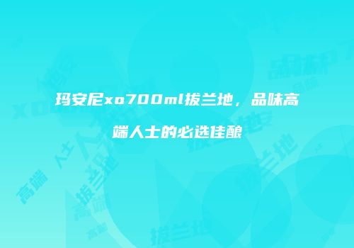 玛安尼xo700ml拔兰地，品味高端人士的必选佳酿