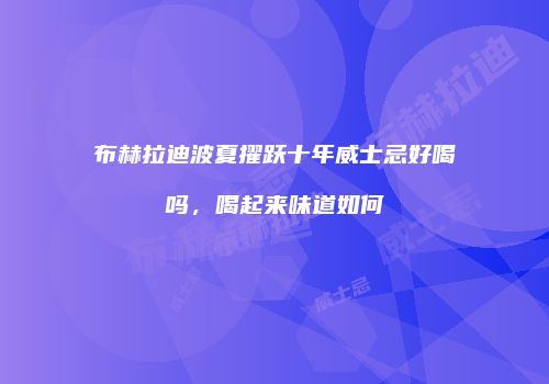 布赫拉迪波夏擢跃十年威士忌好喝吗，喝起来味道如何