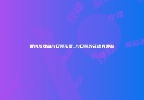 香槟玫瑰加向日葵花语_向日葵的花语有哪些
