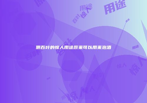 侧百叶的惊人用途原来可以用来泡酒