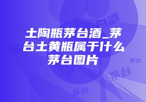 土陶瓶茅台酒_茅台土黄瓶属于什么茅台图片
