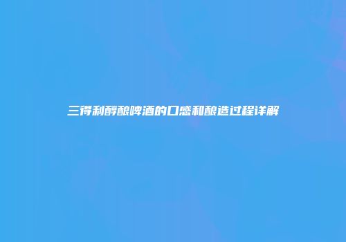 三得利醇酿啤酒的口感和酿造过程详解