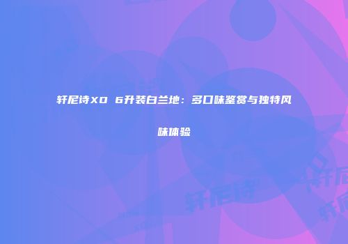 轩尼诗XO 6升装白兰地：多口味鉴赏与独特风味体验
