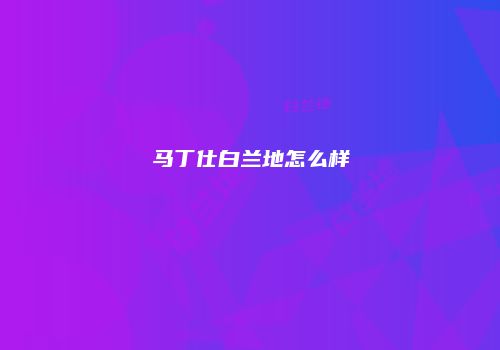 马丁仕白兰地怎么样