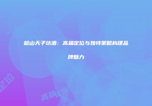 韶山天子坊酒：高端定位与独特策略构建品牌魅力