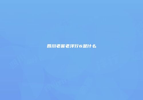 四川老窖老洋行6是什么