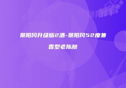 景阳冈升级版2酒-景阳冈52度兼香型老陈酿