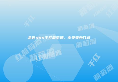 品尝S95干红葡萄酒，享受美妙口感