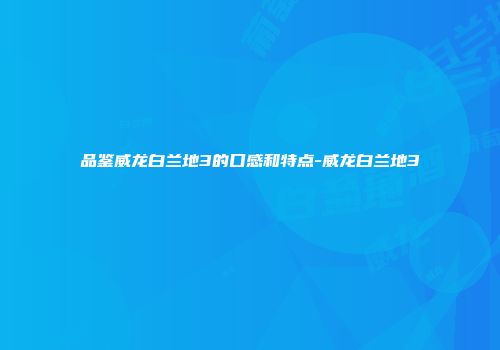 品鉴威龙白兰地3的口感和特点-威龙白兰地3