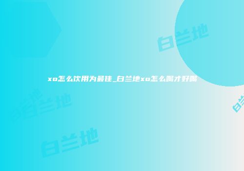 xo怎么饮用为最佳_白兰地xo怎么喝才好喝