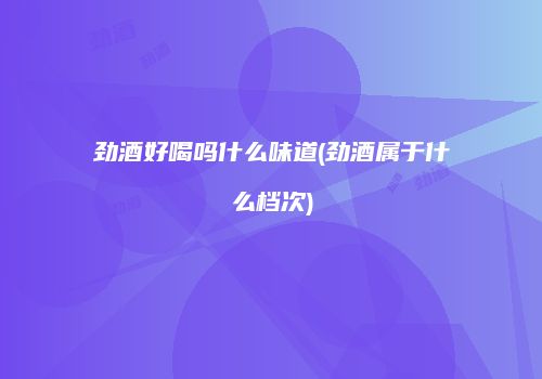 劲酒好喝吗什么味道(劲酒属于什么档次)