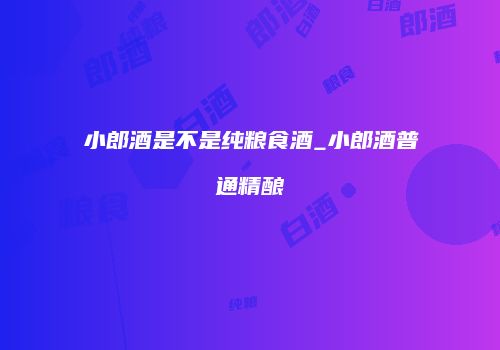 小郎酒是不是纯粮食酒_小郎酒普通精酿