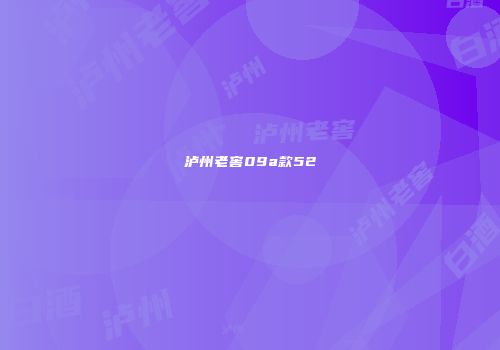 泸州老窖09a款52