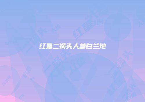 红星二锅头人参白兰地