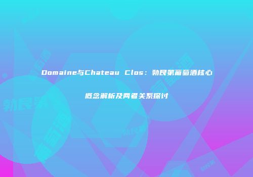 Domaine与Chateau Clos：勃艮第葡萄酒核心概念解析及两者关系探讨