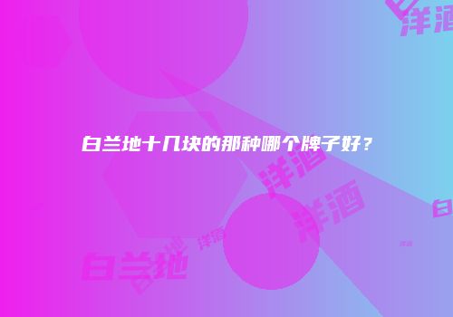 白兰地十几块的那种哪个牌子好？