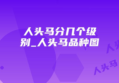 人头马分几个级别_人头马品种图