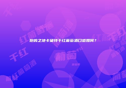 炮鸣之地卡黛特干红葡萄酒口感如何？
