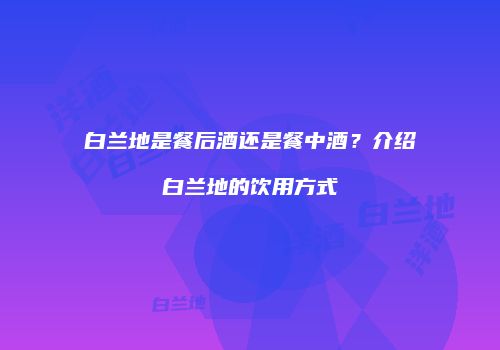 白兰地是餐后酒还是餐中酒？介绍白兰地的饮用方式