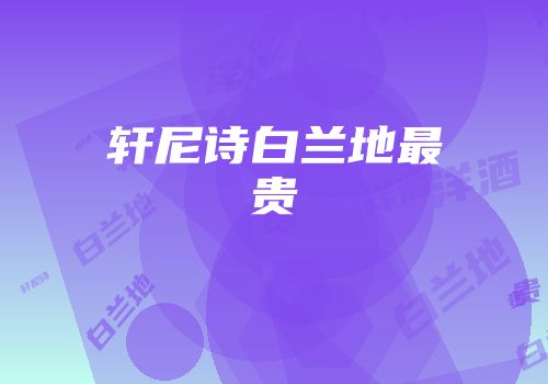 轩尼诗白兰地最贵