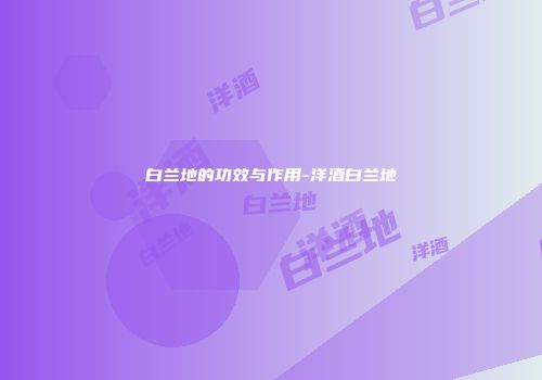 白兰地的功效与作用-洋酒白兰地
