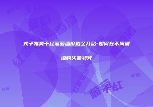 戎子雅黄干红葡萄酒价格全介绍-如何在不同渠道购买最划算
