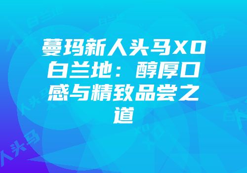 蔓玛新人头马XO白兰地：醇厚口感与精致品尝之道
