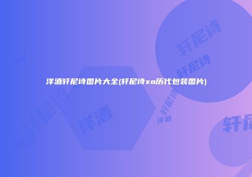 洋酒轩尼诗图片大全(轩尼诗xo历代包装图片)