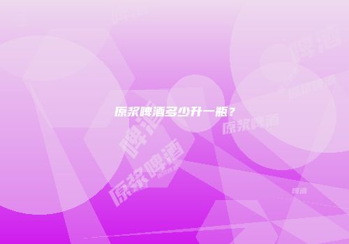原浆啤酒多少升一瓶？