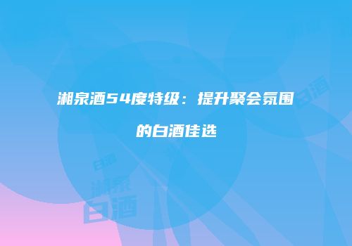 湘泉酒54度特级：提升聚会氛围的白酒佳选