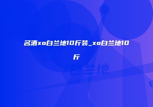名酒xo白兰地10斤装_xo白兰地10斤