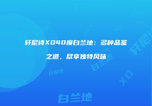 轩尼诗XO40度白兰地：多种品鉴之道，尽享独特风味