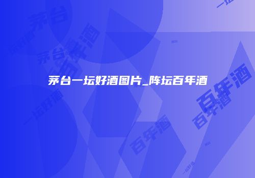 茅台一坛好酒图片_阵坛百年酒