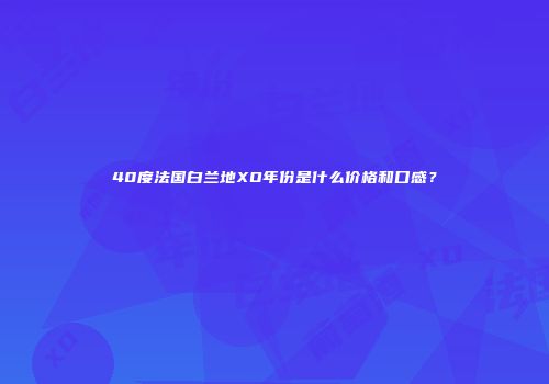 40度法国白兰地XO年份是什么价格和口感？