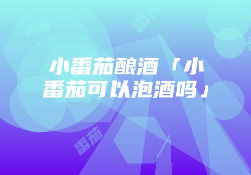 小番茄酿酒「小番茄可以泡酒吗」
