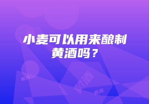 小麦可以用来酿制黄酒吗？