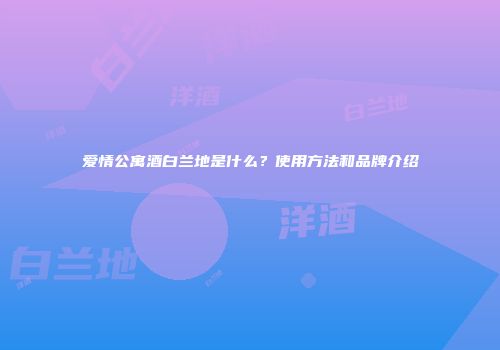 爱情公寓酒白兰地是什么？使用方法和品牌介绍