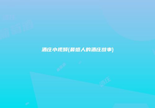 酒庄小视频(最感人的酒庄故事)