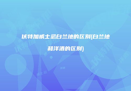 伏特加威士忌白兰地的区别(白兰地和洋酒的区别)