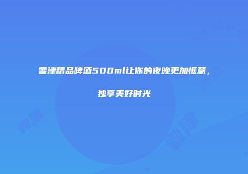 雪津精品啤酒500ml让你的夜晚更加惬意，独享美好时光