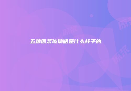 五粮原浆玻璃瓶是什么样子的