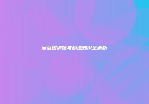 葡萄树种植与酿造知识全解析