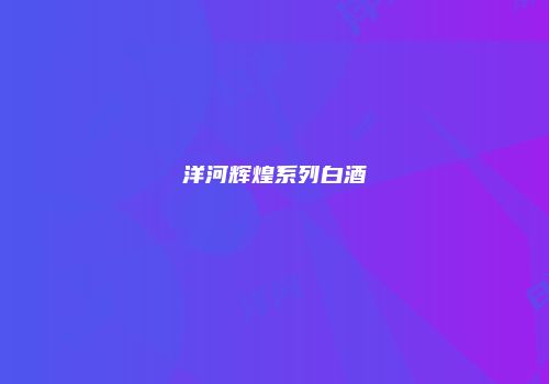 洋河辉煌系列白酒