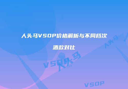 人头马VSOP价格解析与不同档次酒款对比