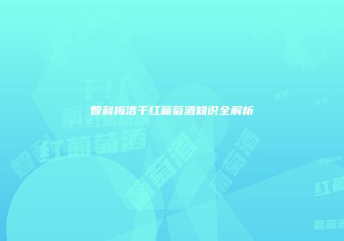 智利梅洛干红葡萄酒知识全解析