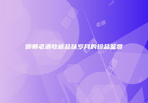 邯郸老酒收藏品味岁月的珍品鉴赏
