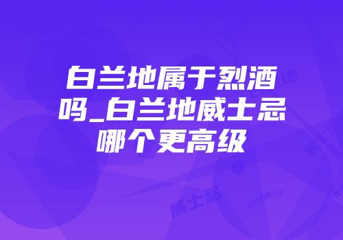 白兰地属于烈酒吗_白兰地威士忌哪个更高级