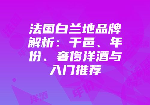 法国白兰地品牌解析：干邑、年份、奢侈洋酒与入门推荐