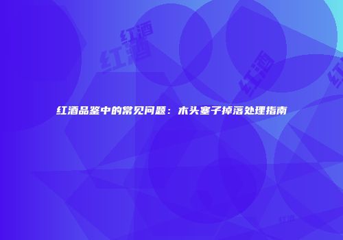 红酒品鉴中的常见问题：木头塞子掉落处理指南