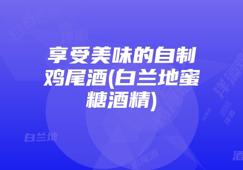 享受美味的自制鸡尾酒(白兰地蜜糖酒精)